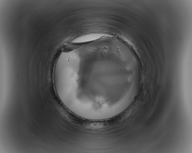 X0000086220353200704191743