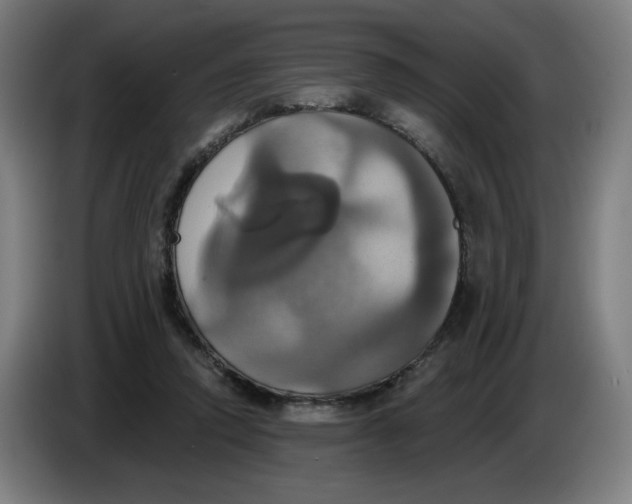 X0000086220354200704191743