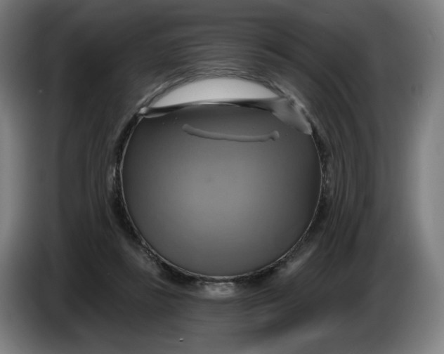 X0000086220355200704191743