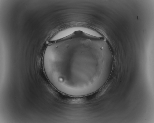 X0000086220357200704191743