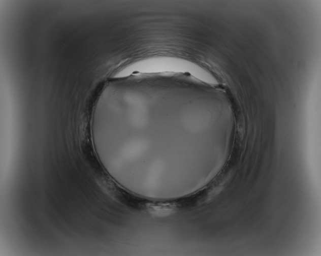 X0000086220359200704191743