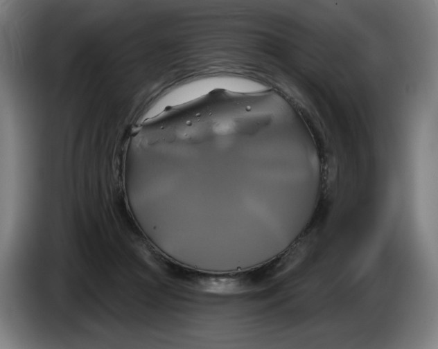 X0000086220361200704191743