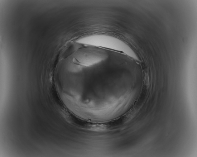 X0000086220363200704191743