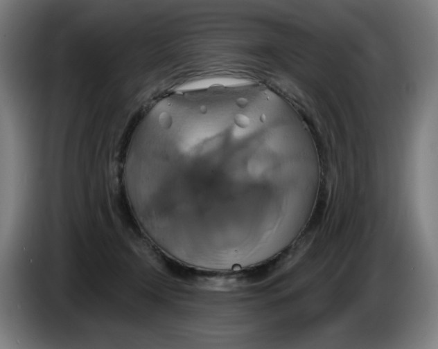 X0000086220366200704191743