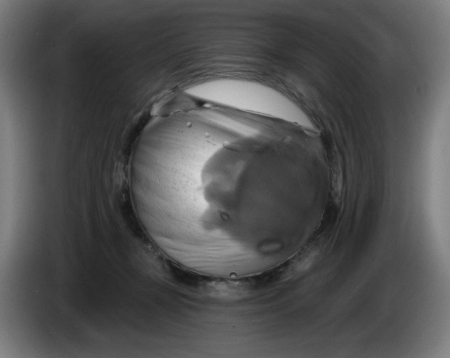 X0000086220367200704191743