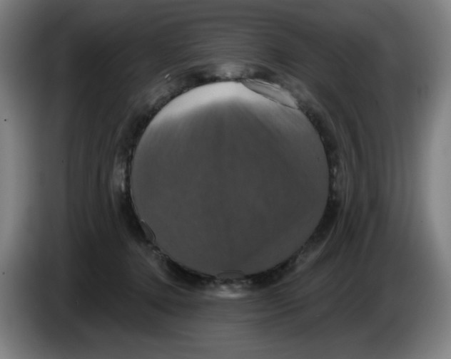 X0000086220368200704191743