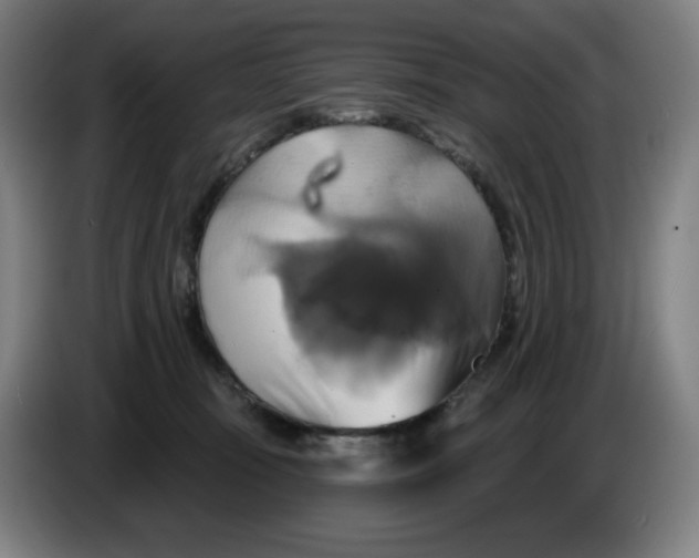 X0000086220371200704191743