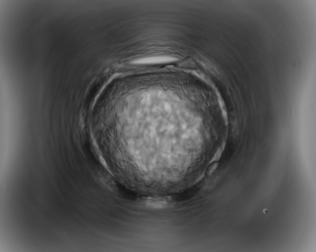 X0000086220373200704191743