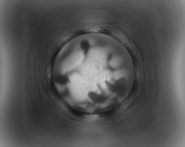 X0000086220374200704191743