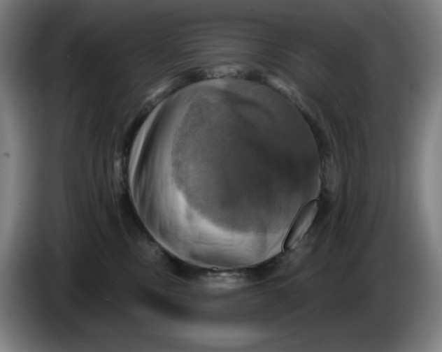 X0000086220378200704191743