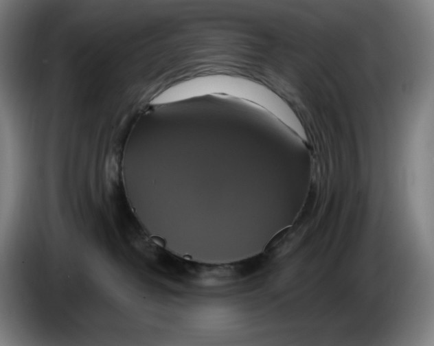 X0000086220382200704191743