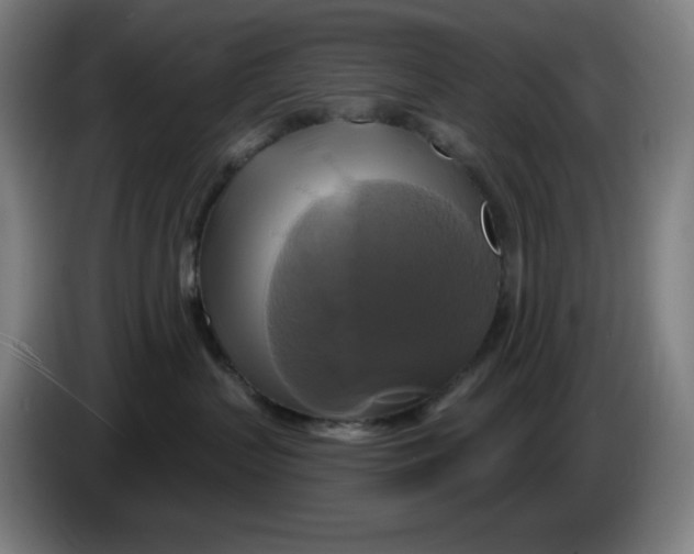 X0000086220383200704191743