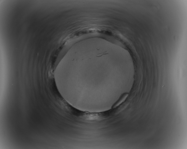 X0000086220384200704191743