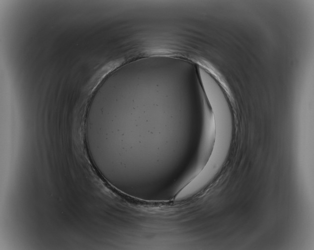 X0000086220385200704191743