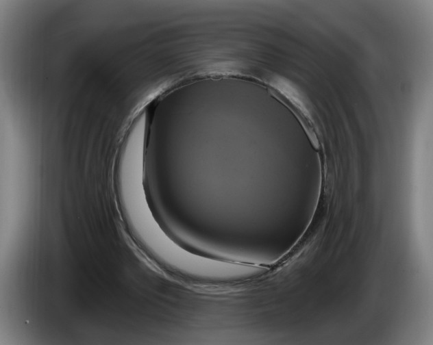 X0000086220389200704191743