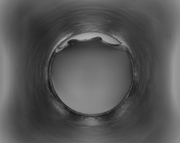 X0000086220390200704191743