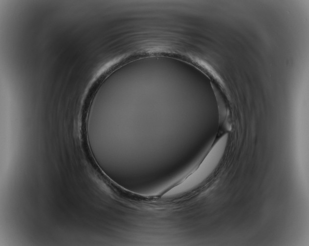 X0000086220391200704191743