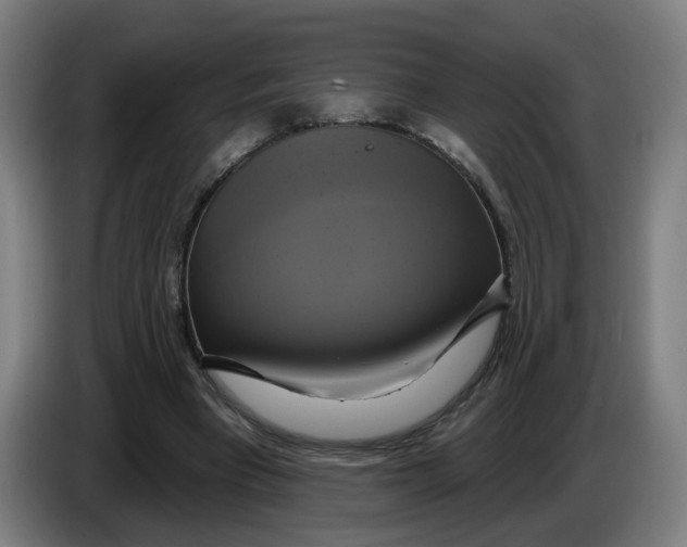 X0000086220393200704191743