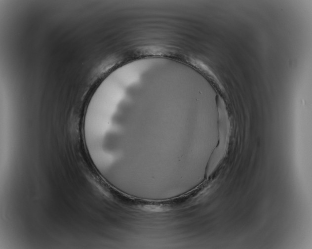 X0000086220394200704191743