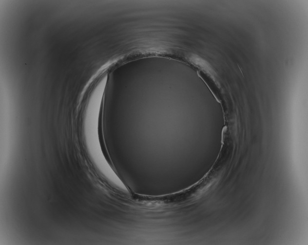 X0000086220395200704191743