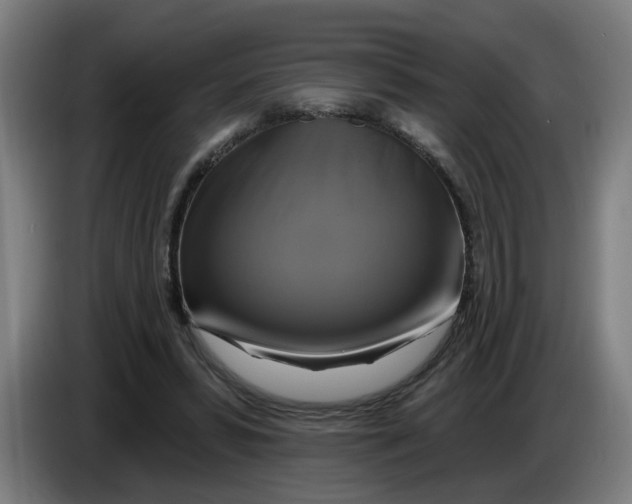 X0000086220399200704191743