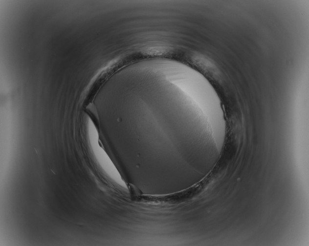 X0000086220400200704191743