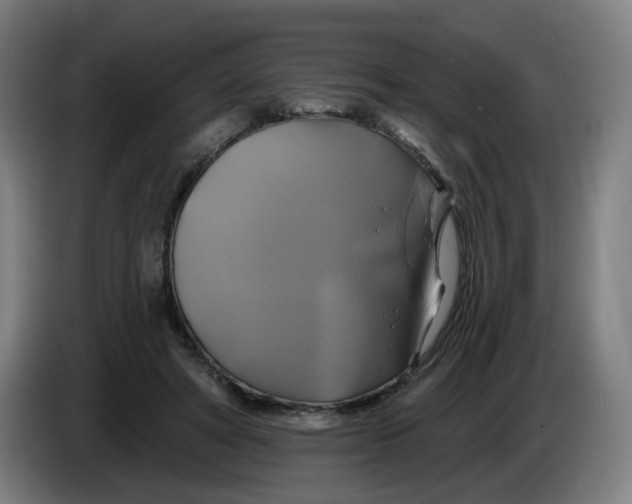 X0000086220402200704191743