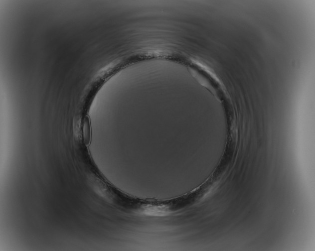 X0000086220403200704191743