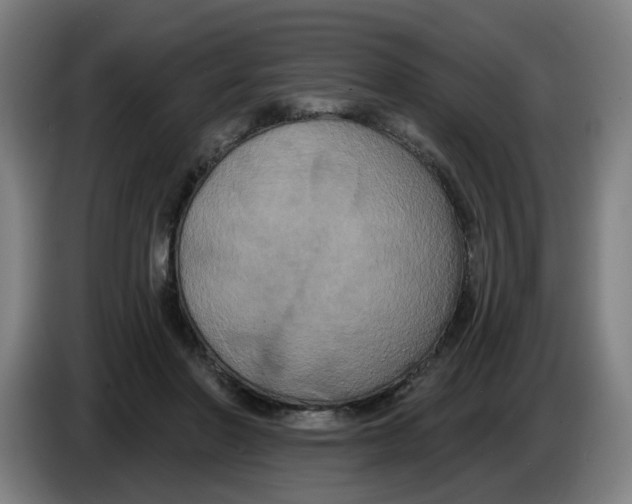 X0000086220406200704191743