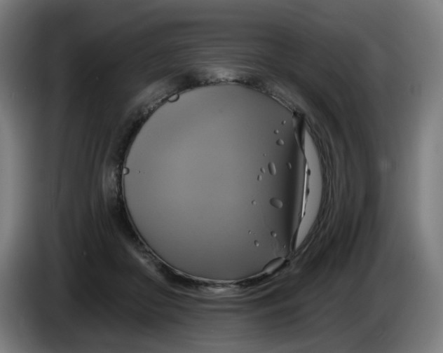 X0000086220410200704191742