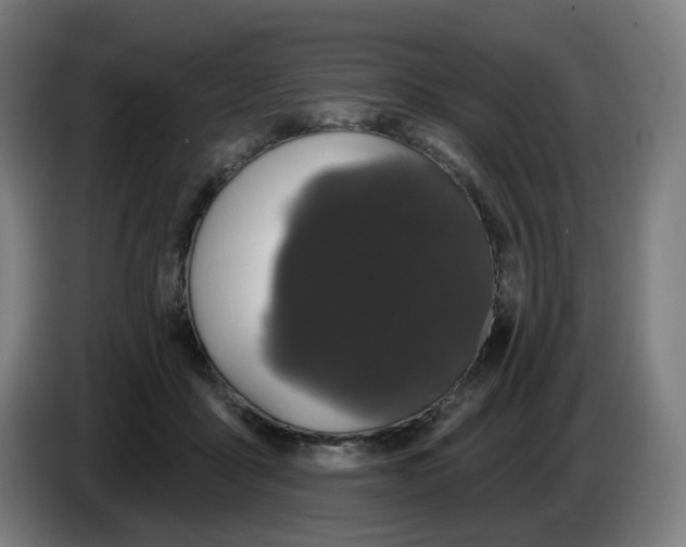 X0000086220411200704191742