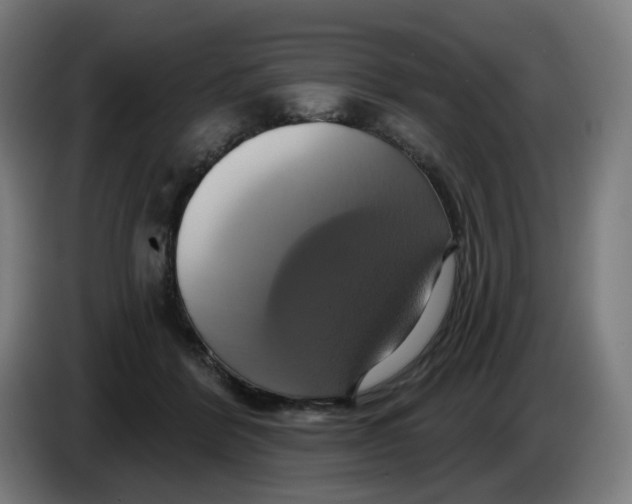 X0000086220412200704191742