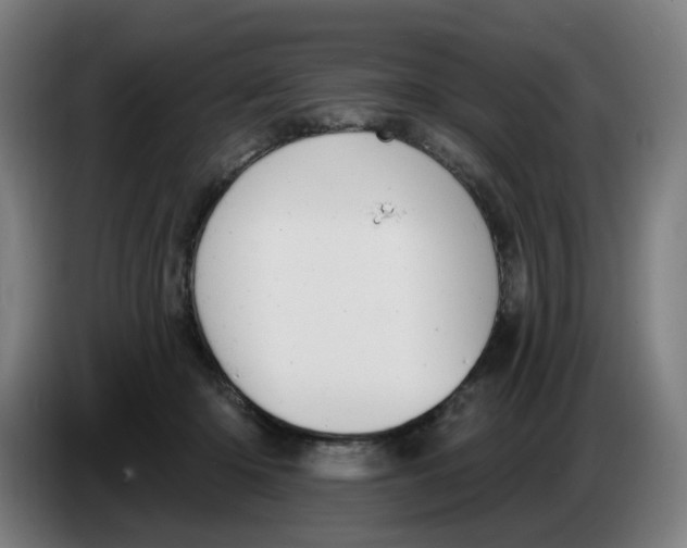 X0000086220414200704191742