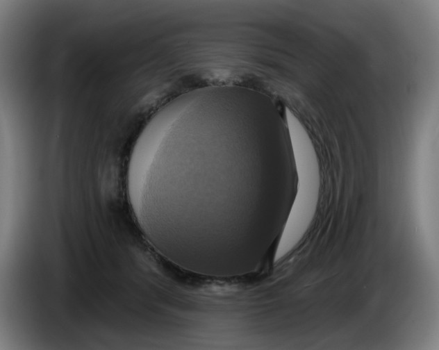 X0000086220416200704191742