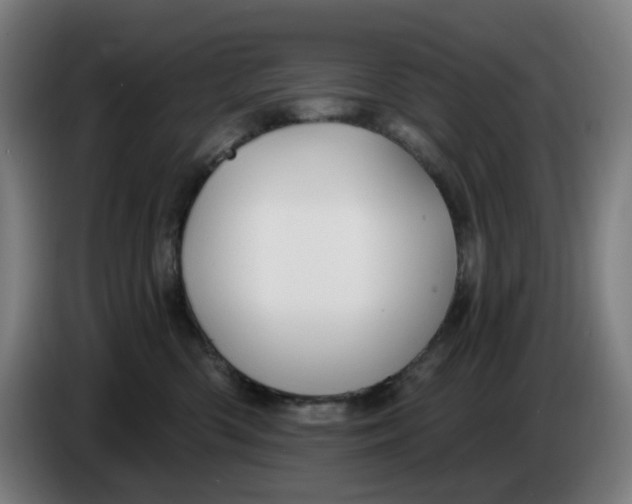 X0000086220426200704191742