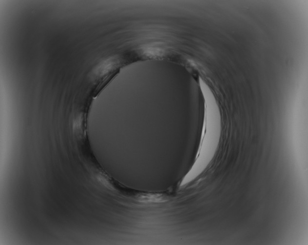 X0000086220428200704191742