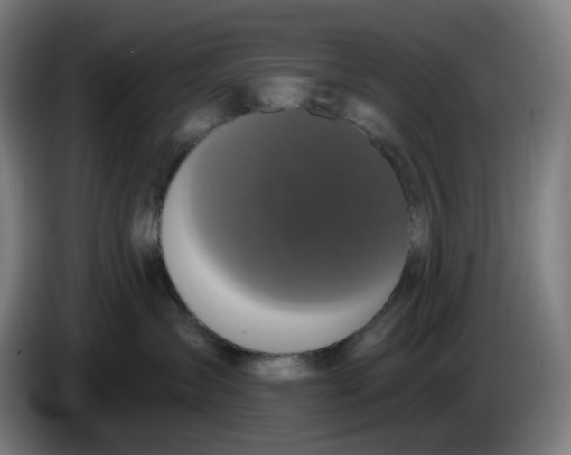 X0000086220431200704191742