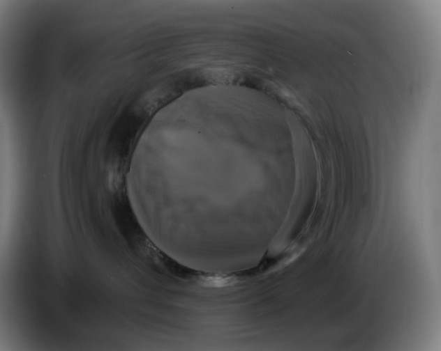 X0000086220432200704191742