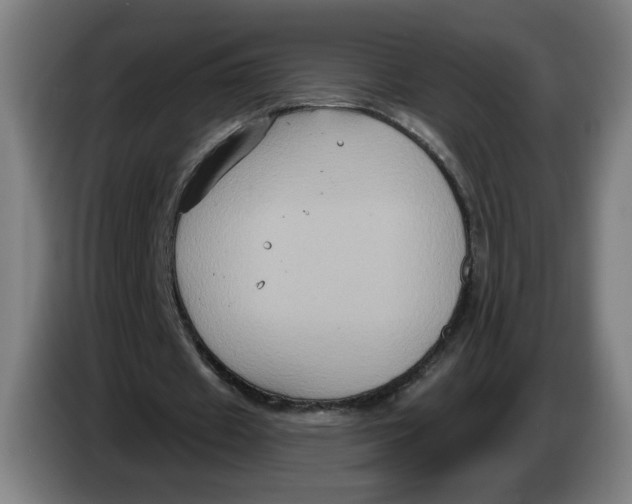 X0000086220433200704191741