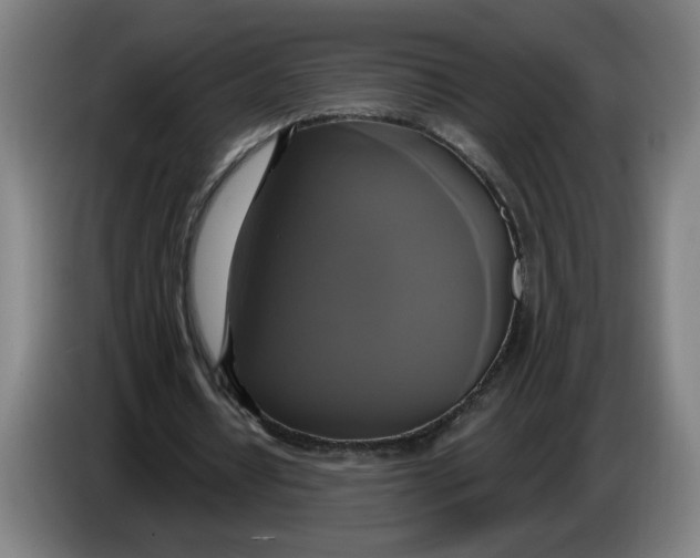 X0000086220434200704191742