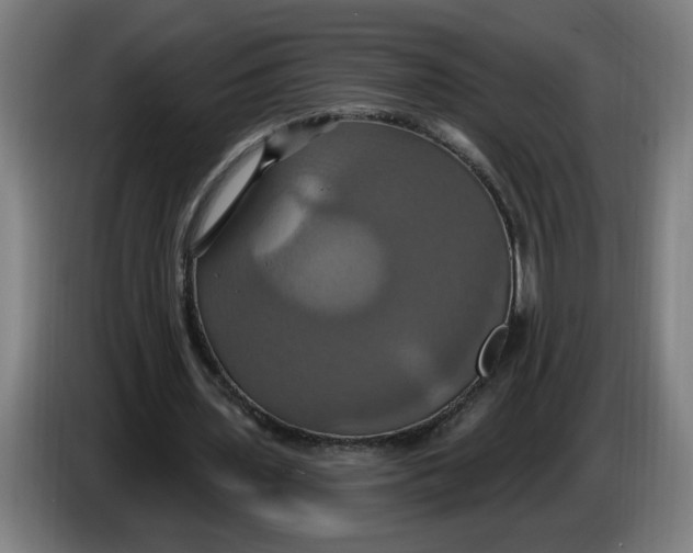 X0000086220435200704191742