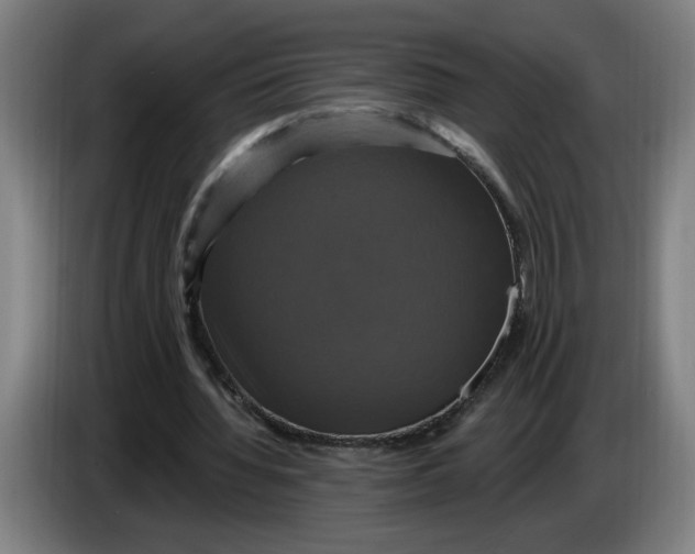 X0000086220436200704191742