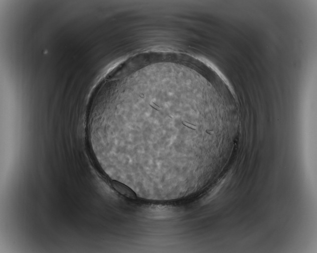 X0000086220437200704191742