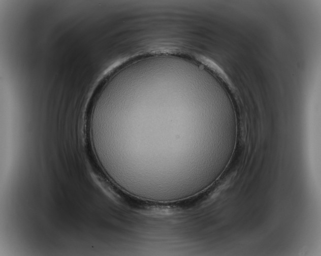 X0000086220439200704191742