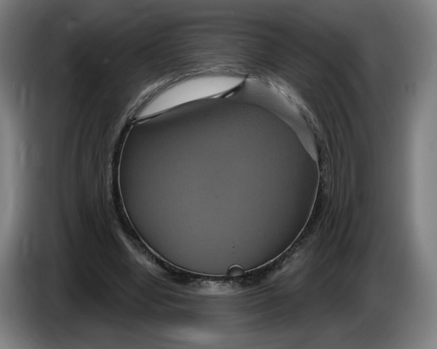 X0000086220442200704191742