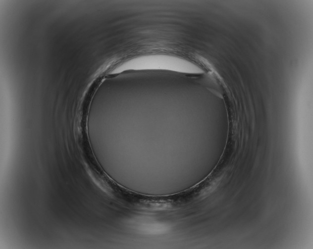 X0000086220443200704191742