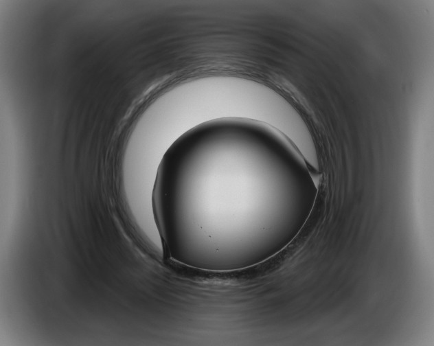 X0000086220444200704191742