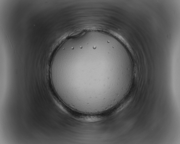 X0000086220445200704191742