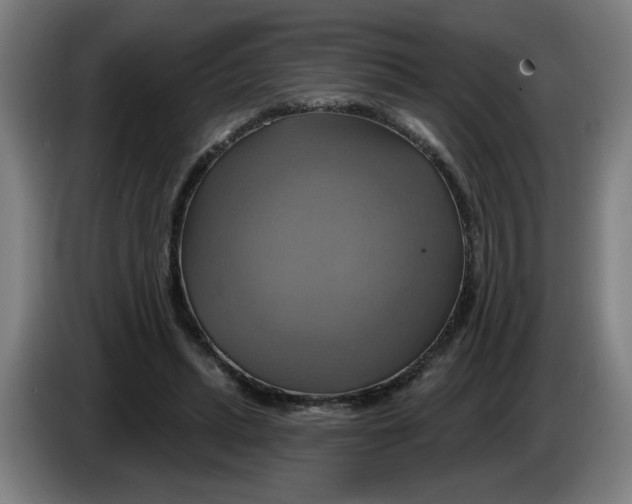 X0000086220447200704191742