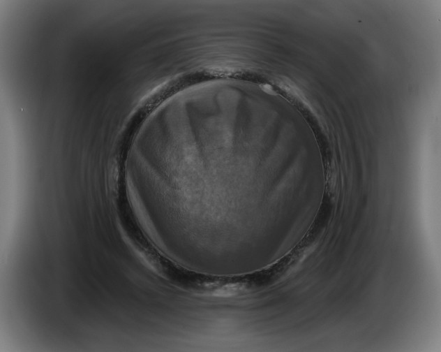 X0000086220448200704191742